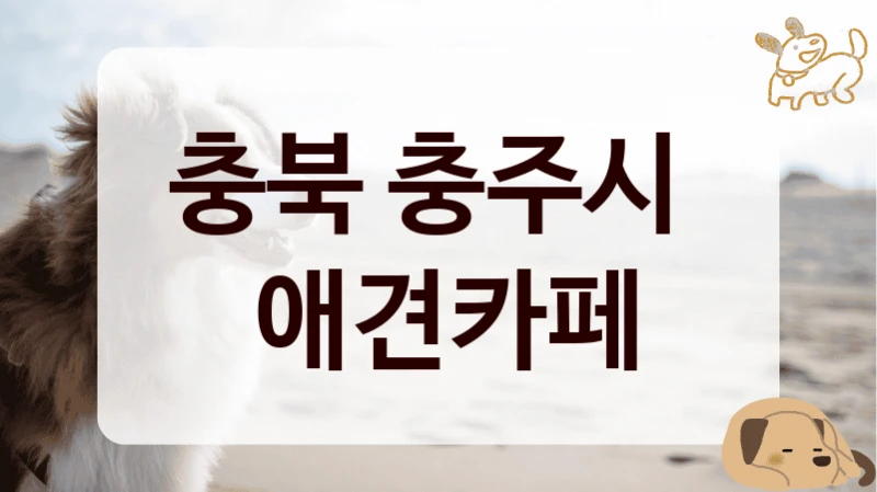 충북 충주시 
 애견카페