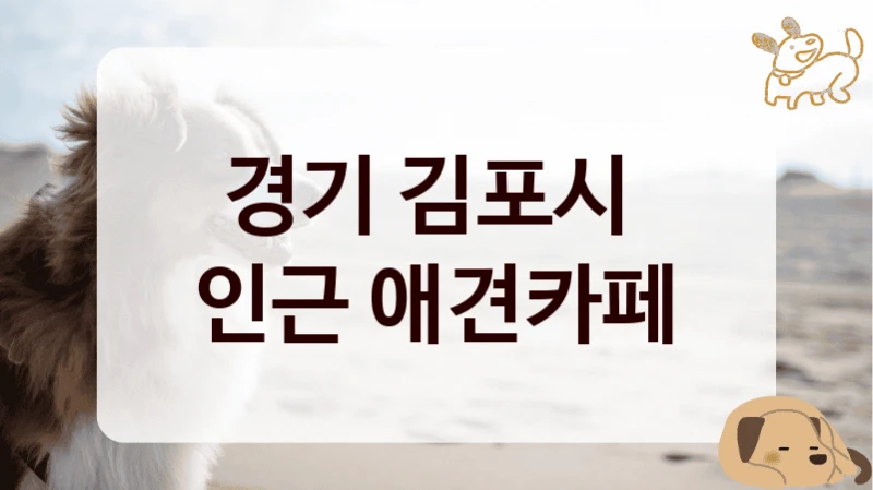 경기 김포시 
인근 애견카페