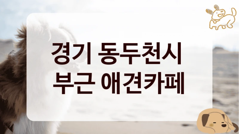 경기 동두천시 
부근 애견카페