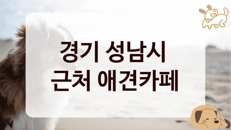 경기 성남시 
근처 애견카페