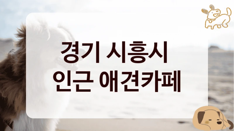 경기 시흥시 
인근 애견카페