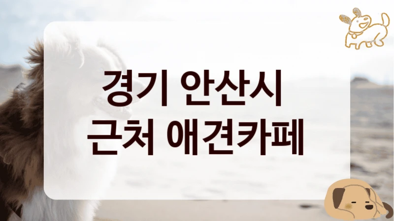 경기 안산시 
근처 애견카페