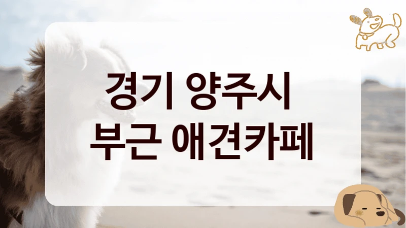 경기 양주시 
부근 애견카페