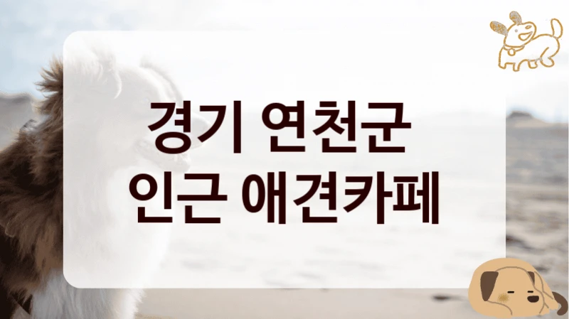 경기 연천군 
인근 애견카페