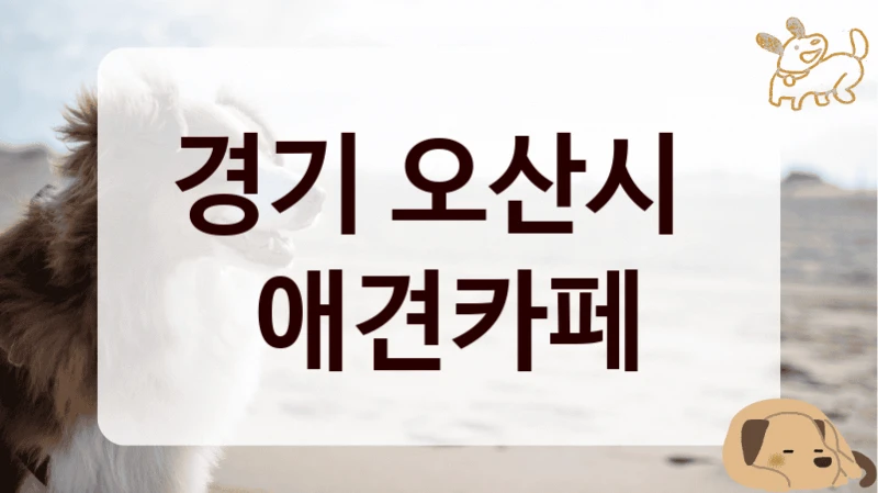 경기 오산시 
 애견카페