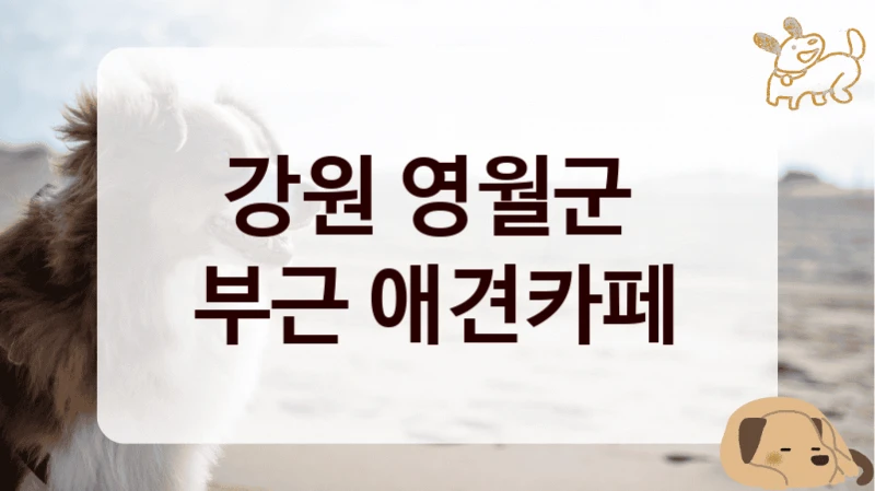 강원 영월군 
부근 애견카페