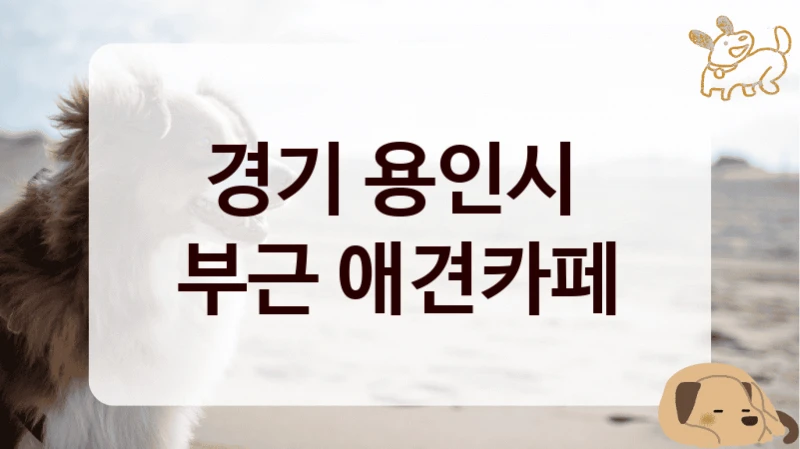 경기 용인시 
부근 애견카페