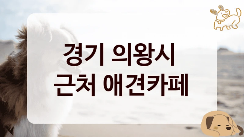 경기 의왕시 
근처 애견카페