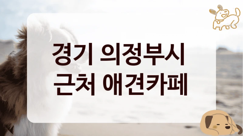 경기 의정부시 
근처 애견카페