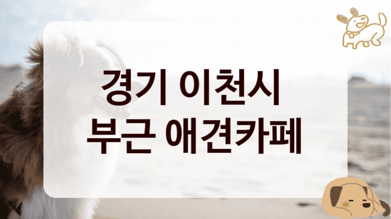 경기 이천시 
부근 애견카페