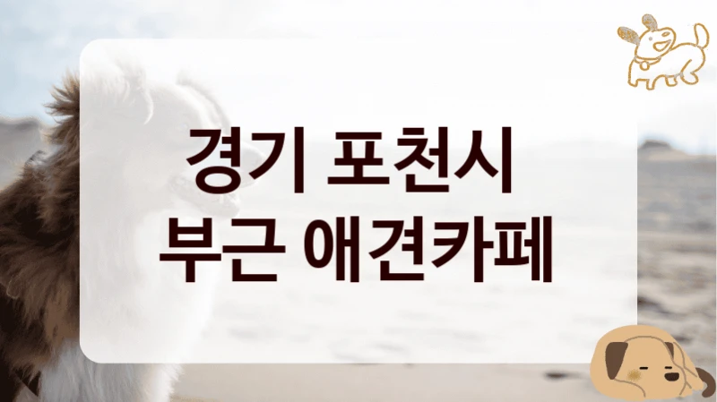 경기 포천시 
부근 애견카페