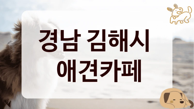 경남 김해시 
 애견카페