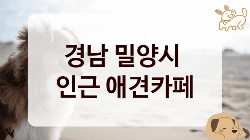 경남 밀양시 
인근 애견카페