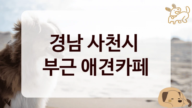 경남 사천시 
부근 애견카페