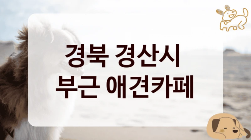 경북 경산시 
부근 애견카페