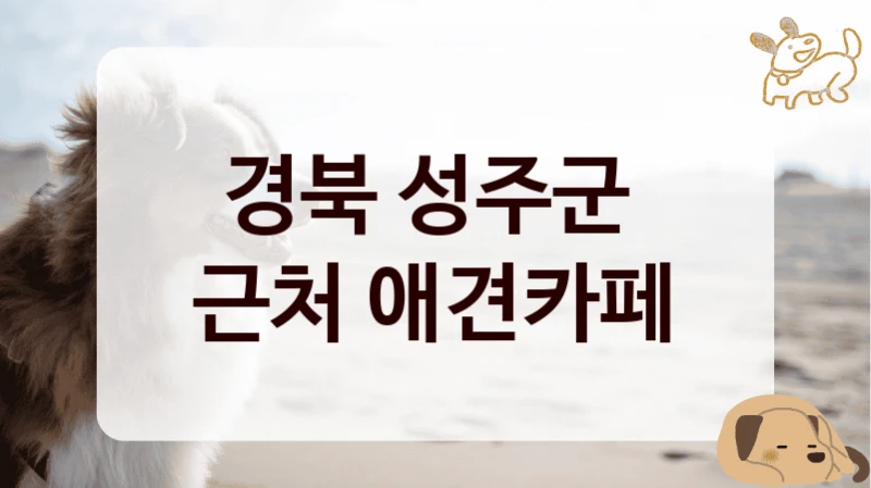 경북 성주군 
근처 애견카페