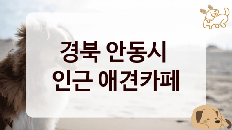 경북 안동시 
인근 애견카페