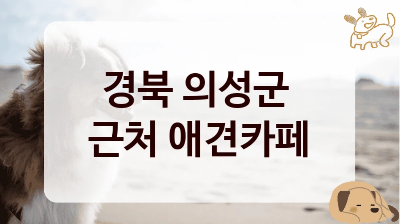 경북 의성군 
근처 애견카페
