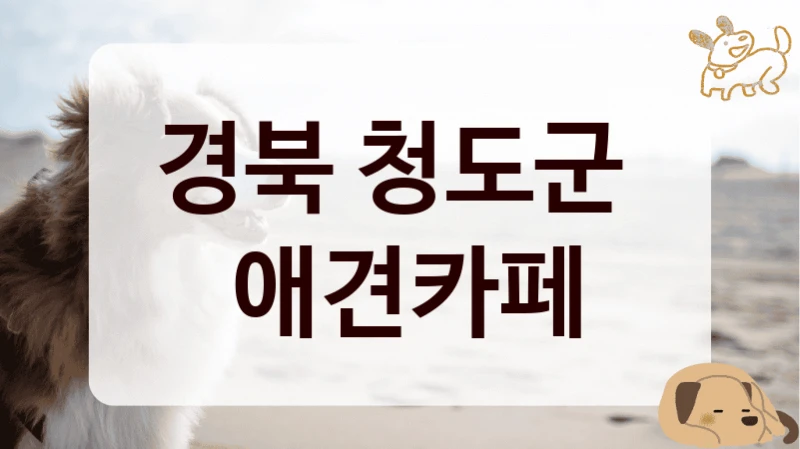 경북 청도군 
 애견카페