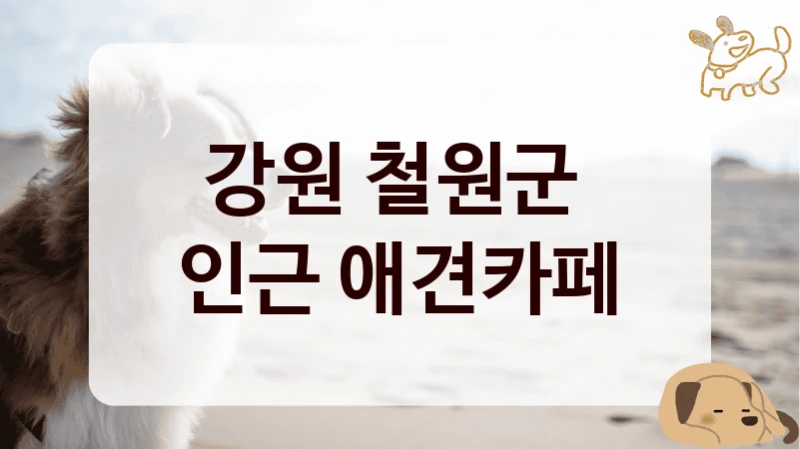 강원 철원군 
인근 애견카페