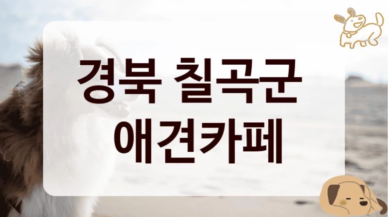 경북 칠곡군 
 애견카페