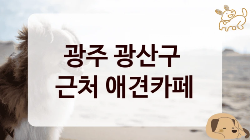 광주 광산구 
근처 애견카페