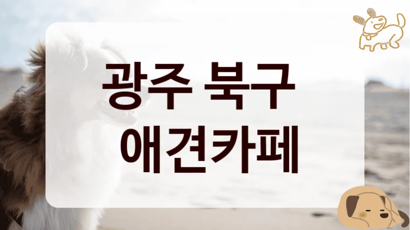 광주 북구 
 애견카페