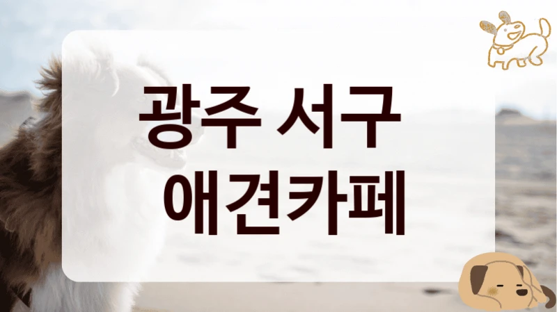 광주 서구 
 애견카페