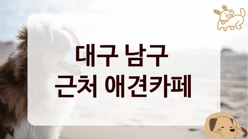 대구 남구 
근처 애견카페