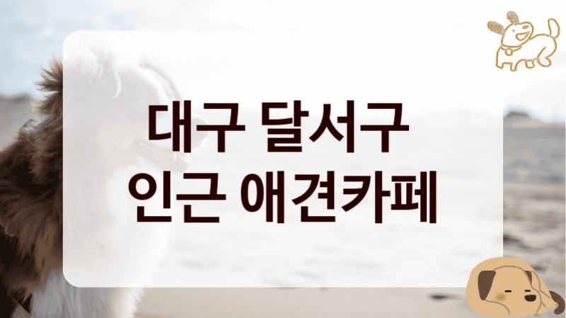 대구 달서구 
인근 애견카페