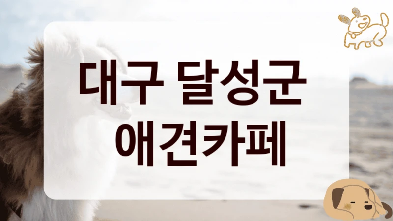대구 달성군 
 애견카페