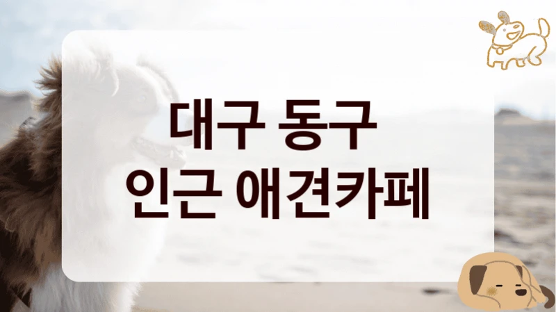 대구 동구 
인근 애견카페