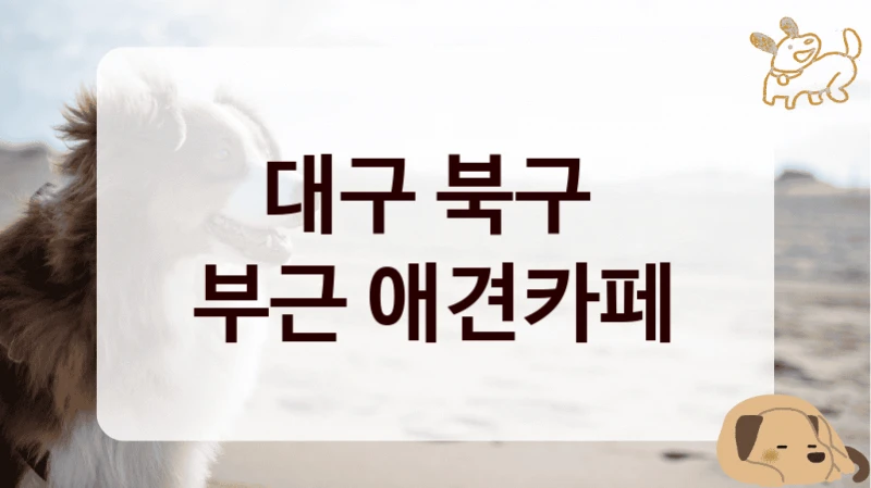 대구 북구 
부근 애견카페