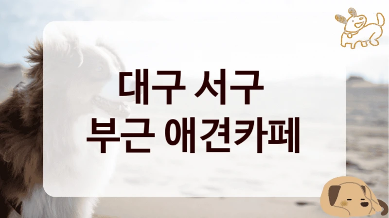 대구 서구 
부근 애견카페