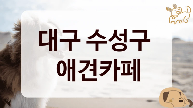 대구 수성구 
 애견카페