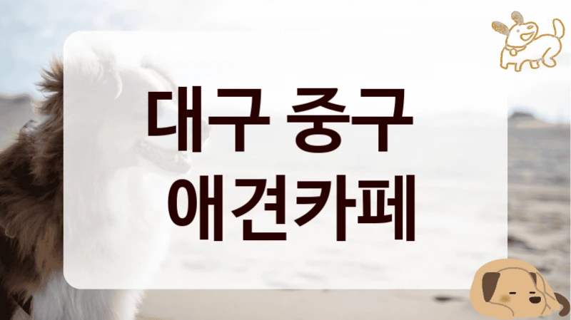 대구 중구 
 애견카페