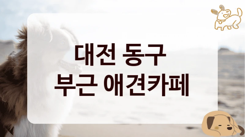 대전 동구 
부근 애견카페