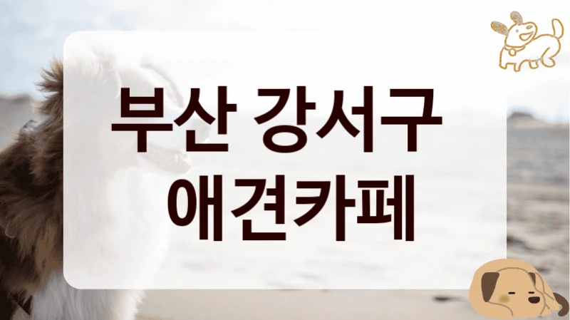 부산 강서구 
 애견카페