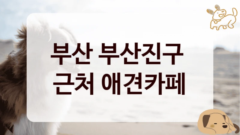 부산 부산진구 
근처 애견카페