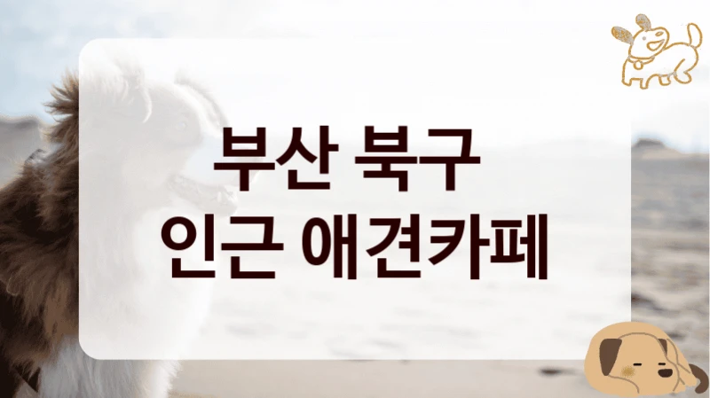 부산 북구 
인근 애견카페