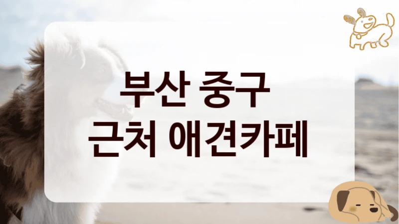 부산 중구 
근처 애견카페