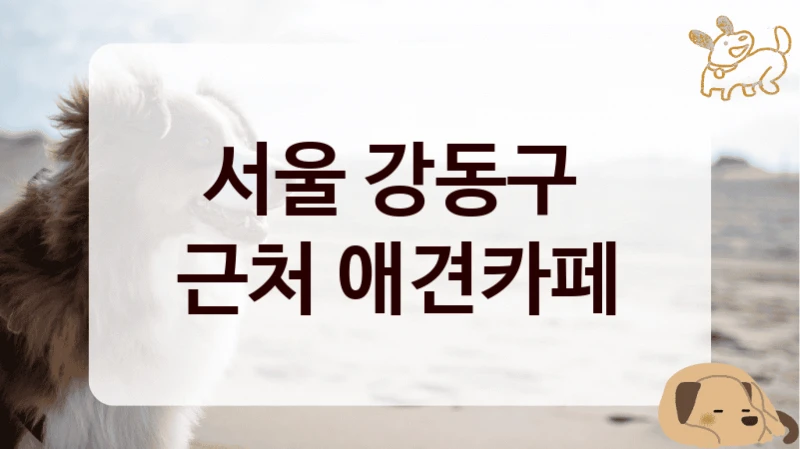 서울 강동구 
근처 애견카페