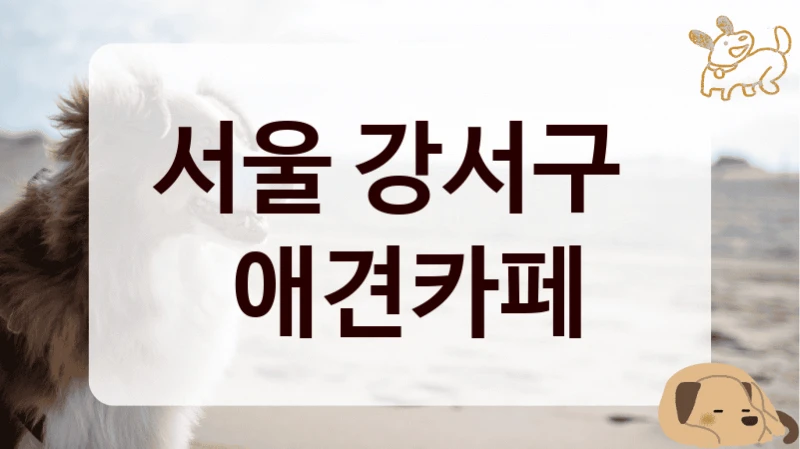 서울 강서구 
 애견카페