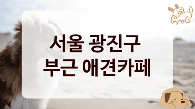 서울 광진구 
부근 애견카페