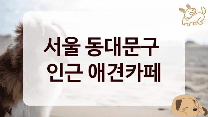 서울 동대문구 
인근 애견카페