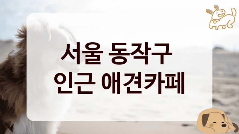 서울 동작구 
인근 애견카페