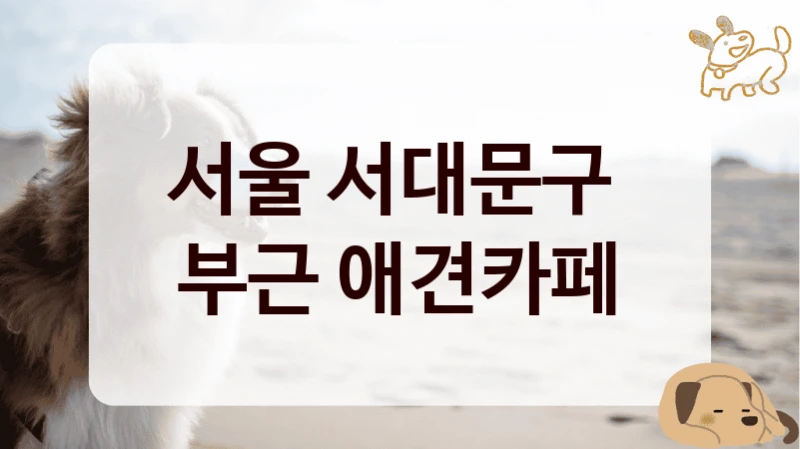 서울 서대문구 
부근 애견카페