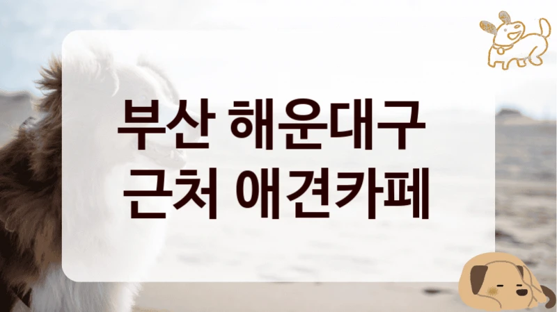 부산 해운대구 
근처 애견카페